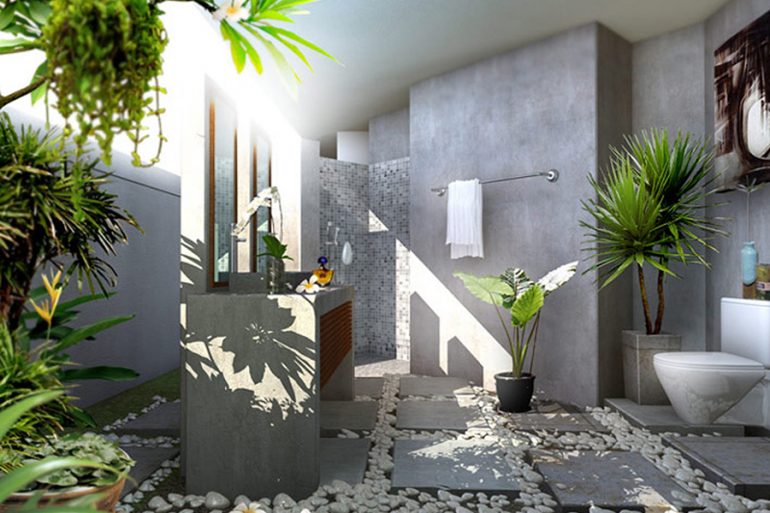 Danh sách cây xanh phong thủy theo tuổi rước lộc may vào nhà