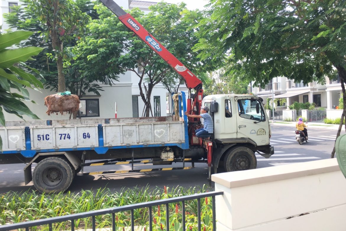 13286f7ab7f157af0ee0