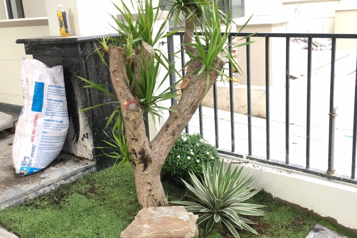 24327e86a50d45531c1c