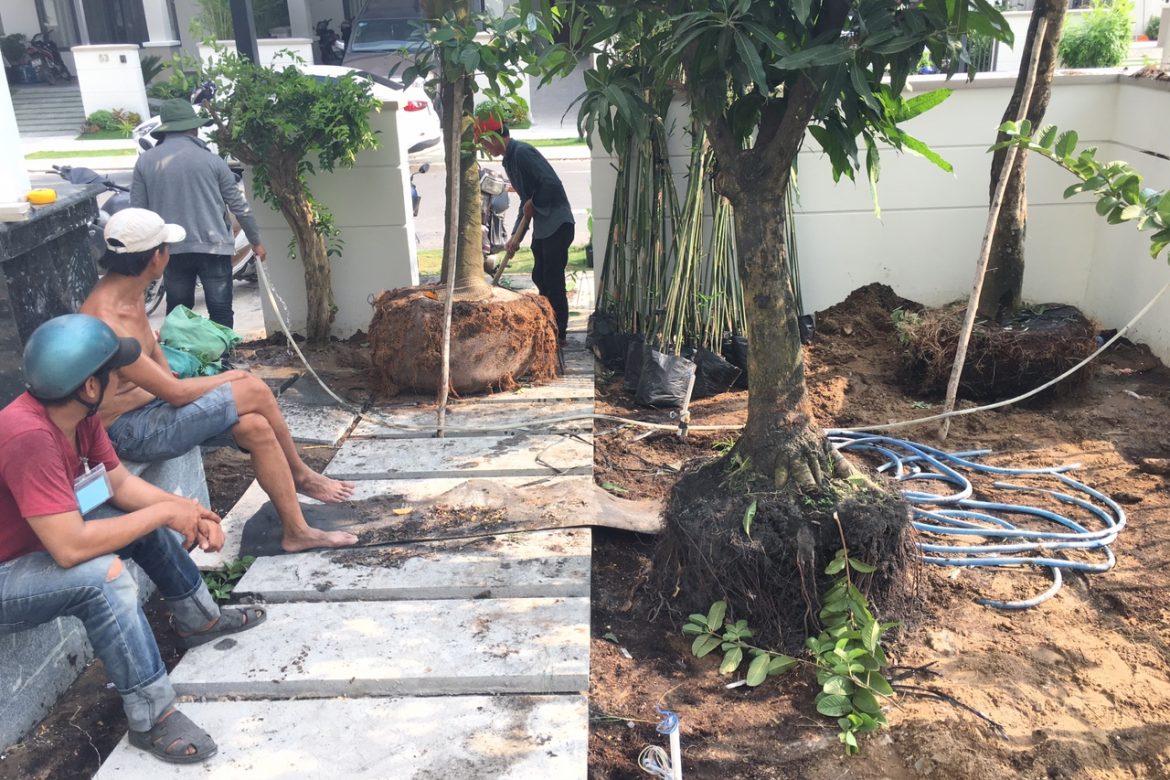 838d04dddc563c086547