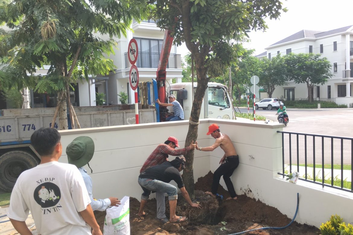 9264e03738bcd8e281ad