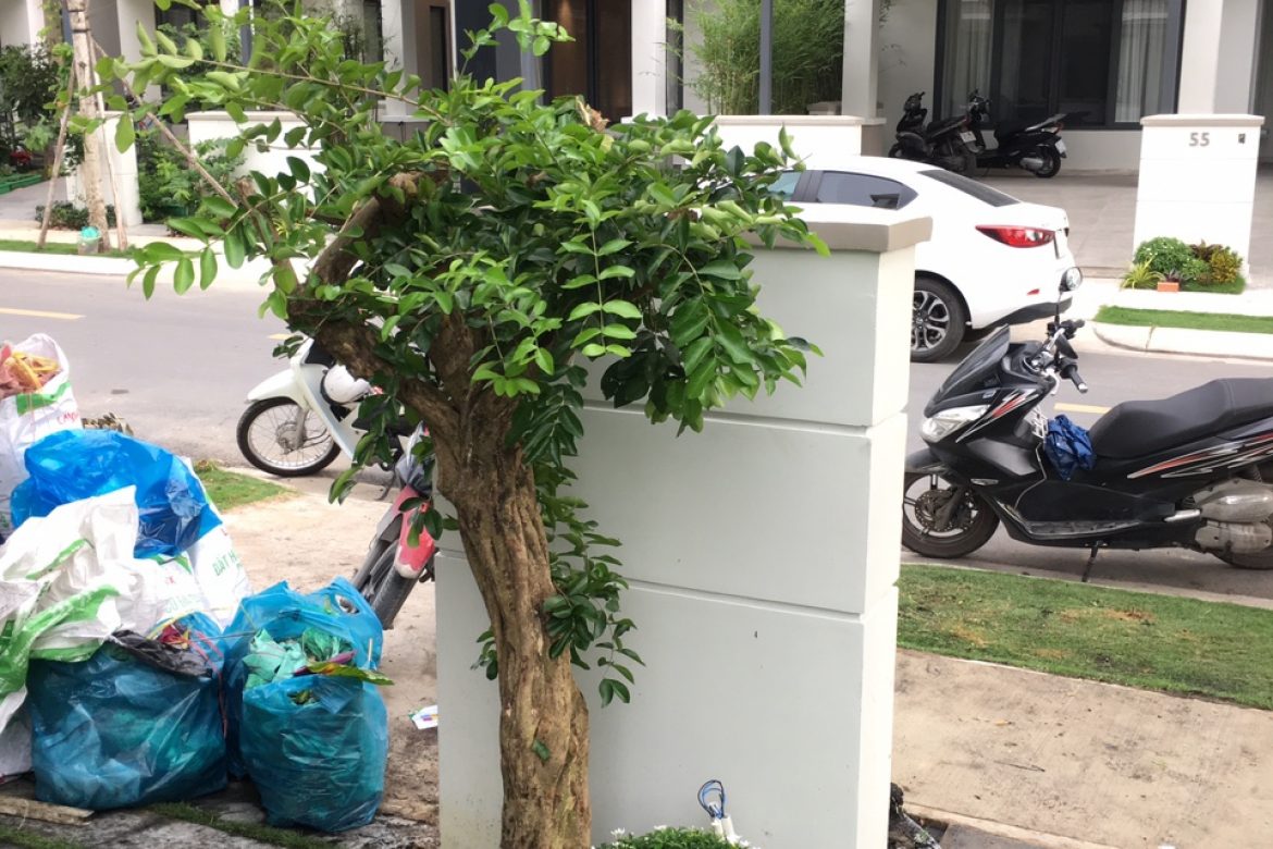 a3abd11f0a94eacab385