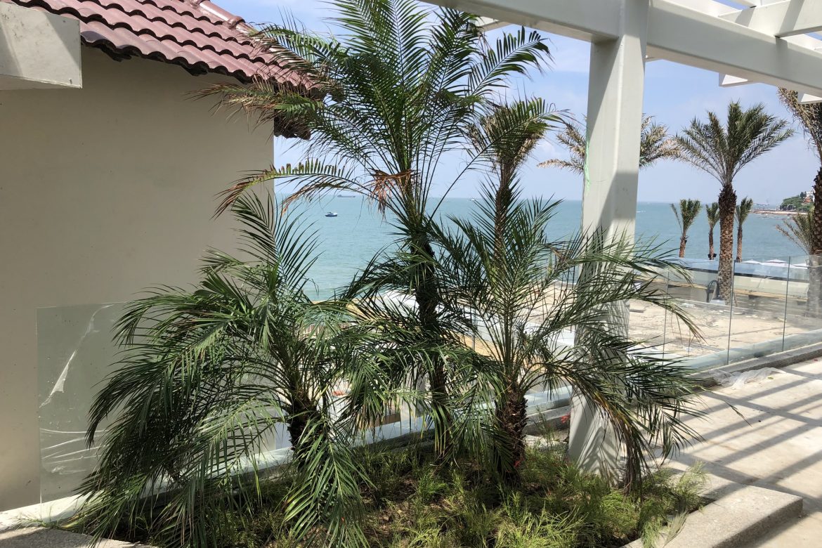 560c7d81676e8030d97f