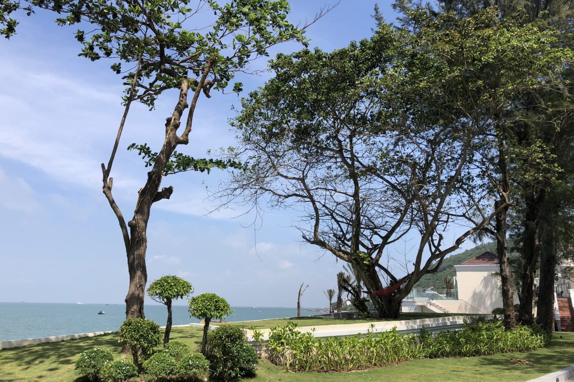 a874a043baac5df204bd